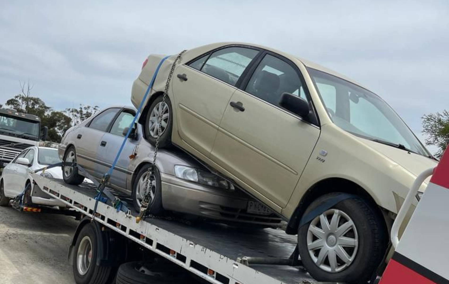 used car buyers